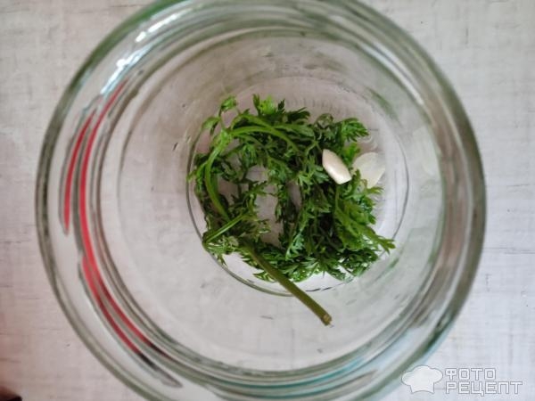 Рецепт: Маринованные помидоры с морковной ботвой - Очень вкусные и без заморочек: с уксусом и без него Рецепт: Маринованные помидоры с морковной ботвой - Очень вкусные и без заморочек: с уксусом и без него