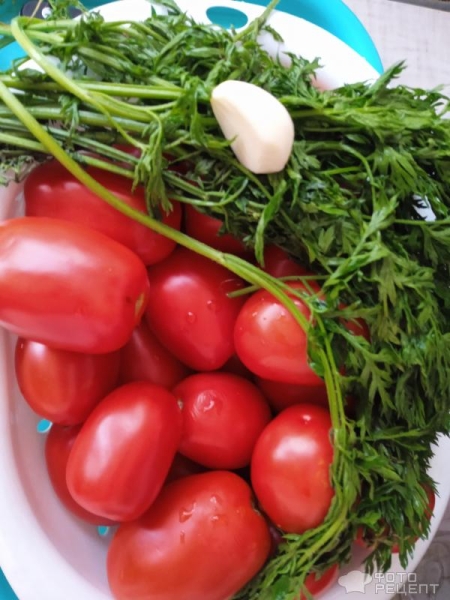 Рецепт: Маринованные помидоры с морковной ботвой - Очень вкусные и без заморочек: с уксусом и без него Рецепт: Маринованные помидоры с морковной ботвой - Очень вкусные и без заморочек: с уксусом и без него