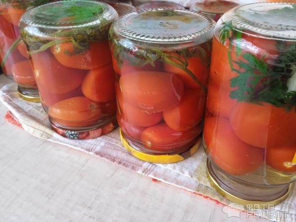 Рецепт: Маринованные помидоры с морковной ботвой - Очень вкусные и без заморочек: с уксусом и без него Рецепт: Маринованные помидоры с морковной ботвой - Очень вкусные и без заморочек: с уксусом и без него