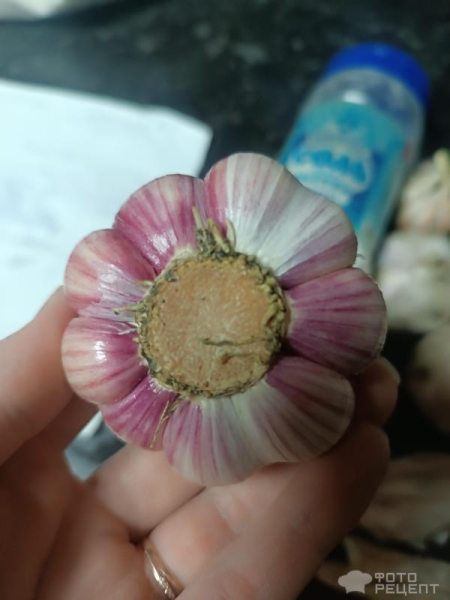 Рецепт: Маринованный чеснок - Как дополнение к блюдам