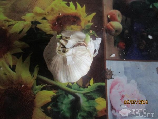 Рецепт: Мясо со сливами и соусом - супер праздничное блюдо