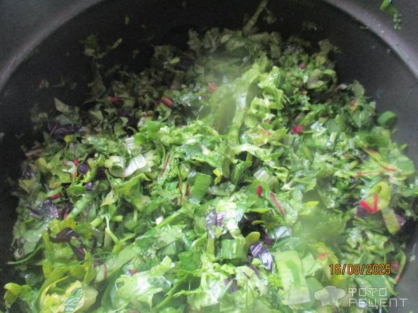 Рецепт: Мясо тушеное с зеленью - типа "сябзи говурма"