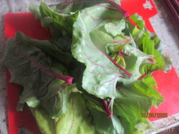 Рецепт: Мясо тушеное с зеленью - типа "сябзи говурма"