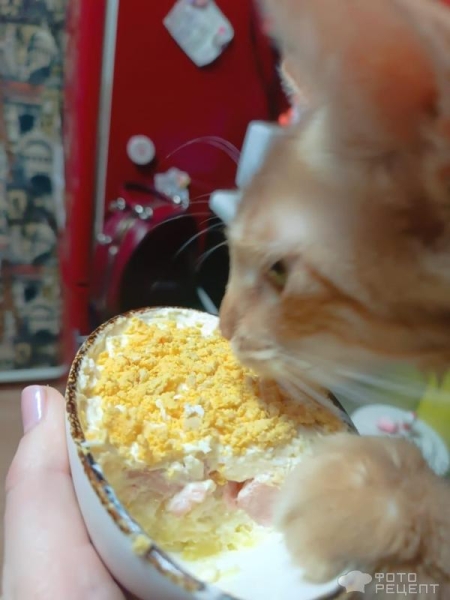 Рецепт: Нежный слоеный салат со слабосоленной форелью - С сыром Рецепт: Нежный слоеный салат со слабосоленной форелью - С сыром