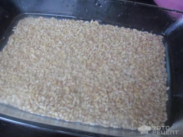 Рецепт: Печень под сливами - оригинальный сытный обед Рецепт: Печень под сливами - оригинальный сытный обед