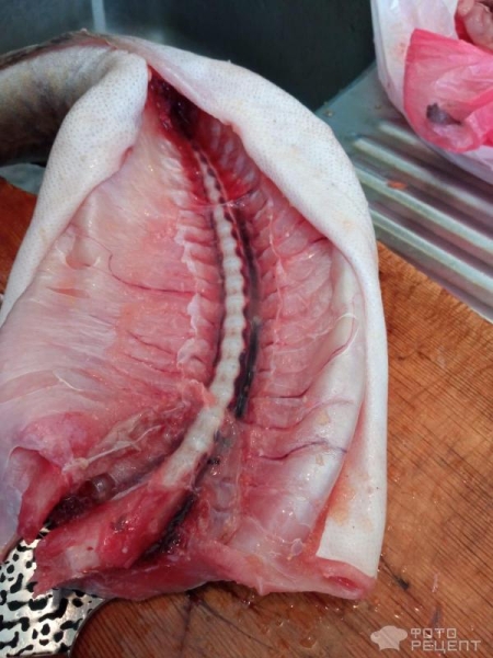 Рецепт: Пирог с налимом - Открытый пирог, с молочным соусом Рецепт: Пирог с налимом - Открытый пирог, с молочным соусом