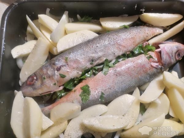 Рецепт: Рыба, запеченная с картошкой в духовке - "красноглазка по-домашнему" Рецепт: Рыба, запеченная с картошкой в духовке - "красноглазка по-домашнему"