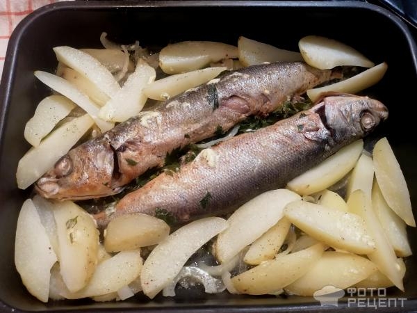 Рецепт: Рыба, запеченная с картошкой в духовке - "красноглазка по-домашнему" Рецепт: Рыба, запеченная с картошкой в духовке - "красноглазка по-домашнему"
