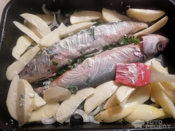 Рецепт: Рыба, запеченная с картошкой в духовке - "красноглазка по-домашнему" Рецепт: Рыба, запеченная с картошкой в духовке - "красноглазка по-домашнему"
