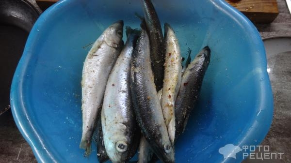 Рецепт: Салака балтийская на пару - Самый быстрый и вкусный рецепт. Рецепт: Салака балтийская на пару - Самый быстрый и вкусный рецепт.