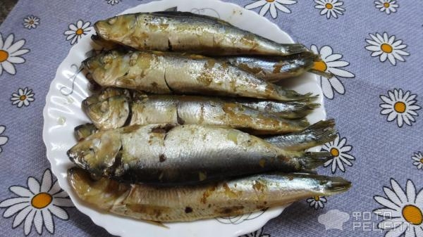 Рецепт: Салака балтийская на пару - Самый быстрый и вкусный рецепт. Рецепт: Салака балтийская на пару - Самый быстрый и вкусный рецепт.