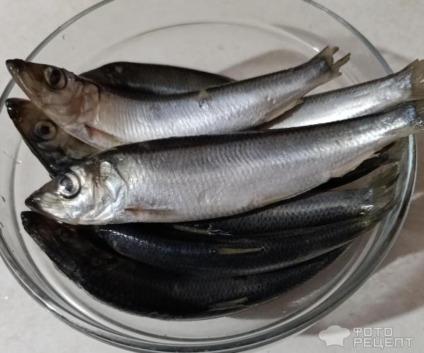 Рецепт: Салака маринованная малосольная - Пряная рыбка, идеальная. Вкуснее покупной. Рецепт: Салака маринованная малосольная - Пряная рыбка, идеальная. Вкуснее покупной.