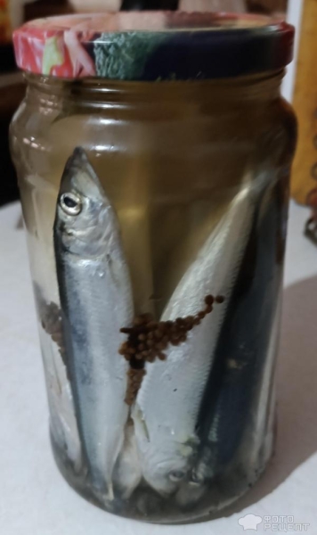 Рецепт: Салака маринованная малосольная - Пряная рыбка, идеальная. Вкуснее покупной. Рецепт: Салака маринованная малосольная - Пряная рыбка, идеальная. Вкуснее покупной.