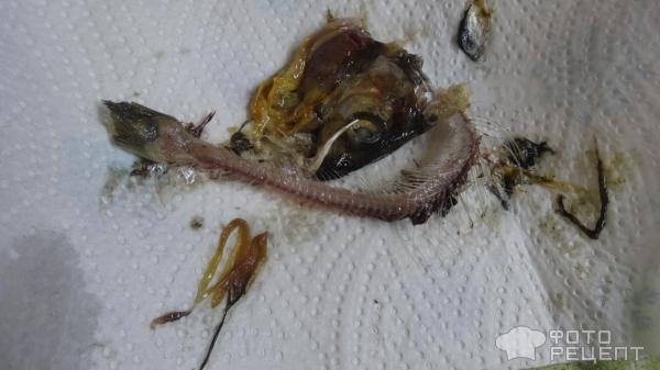 Рецепт: Салака сухого посола - Быстро и очень вкусно. Рецепт: Салака сухого посола - Быстро и очень вкусно.