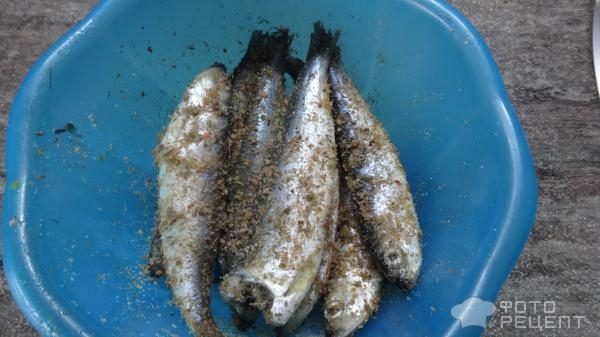 Рецепт: Салака сухого посола - Быстро и очень вкусно. Рецепт: Салака сухого посола - Быстро и очень вкусно.