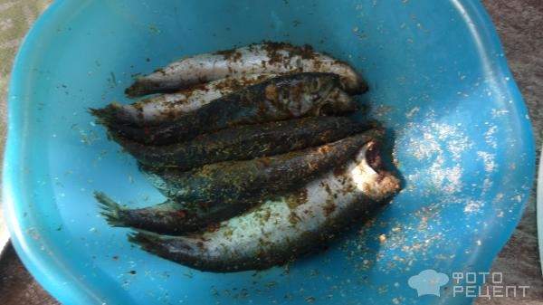 Рецепт: Салака сухого посола - Быстро и очень вкусно. Рецепт: Салака сухого посола - Быстро и очень вкусно.