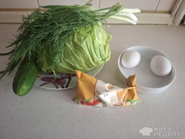 Рецепт: Салат из капусты с зеленью и яйцом - Готовлю с любовью. Рецепт: Салат из капусты с зеленью и яйцом - Готовлю с любовью.