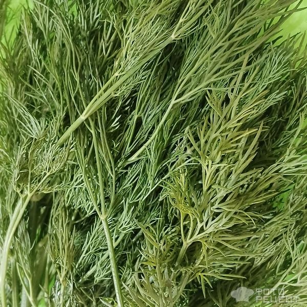 Рецепт: Салат из огурцов - Когда простое блюдо - самое любимое и самое вкусное на свете!:) Рецепт: Салат из огурцов - Когда простое блюдо - самое любимое и самое вкусное на свете!:)