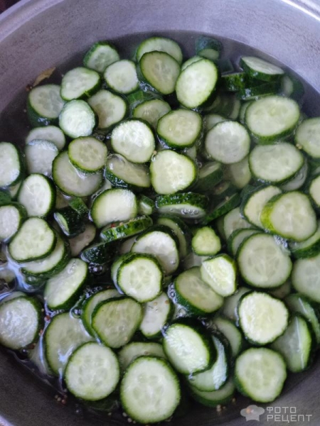 Рецепт: Салат из огурцов на зиму - Только огурцы и семена горчицы: но как же это быстро и вкусно! Рецепт: Салат из огурцов на зиму - Только огурцы и семена горчицы: но как же это быстро и вкусно!