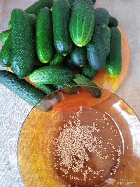 Рецепт: Салат из огурцов на зиму - Только огурцы и семена горчицы: но как же это быстро и вкусно! Рецепт: Салат из огурцов на зиму - Только огурцы и семена горчицы: но как же это быстро и вкусно!