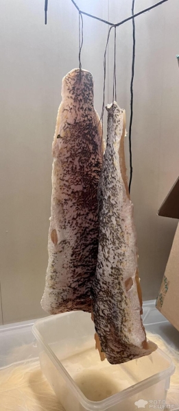 Рецепт: Щука вяленая - Сушим на балконе Рецепт: Щука вяленая - Сушим на балконе