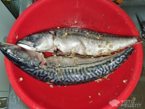 Рецепт: Скумбрия на мангале - С чесноком в маринаде. Вкуснейшая рыба!