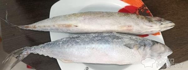 Рецепт: Скумбрия, запеченная на овощной подушке - Удобный вариант рыбки с имеющимися овощами Рецепт: Скумбрия, запеченная на овощной подушке - Удобный вариант рыбки с имеющимися овощами