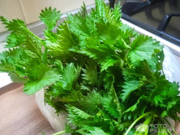 Рецепт: Суп из крапивы - с яйцом, на говяжьем бульоне