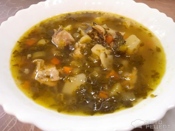 Рецепт: Суп куриный с овощами и зеленью - с ревенем и шпинатом