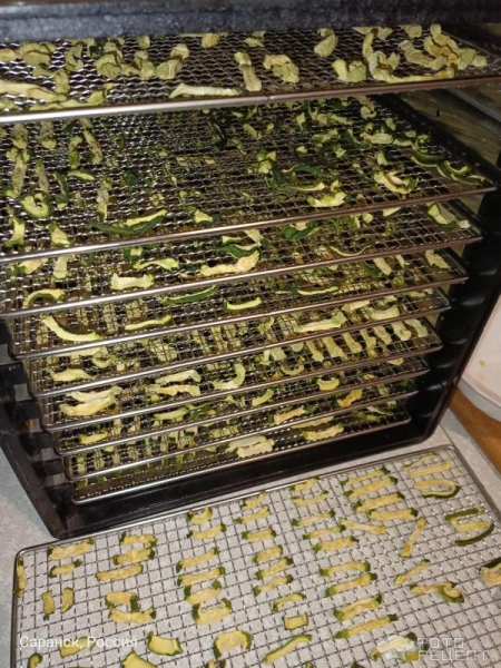 Рецепт: Сушеные кабачки Заготовка в Дигидраторе - Кабачки, как приправа, чипсы, на хранение Рецепт: Сушеные кабачки Заготовка в Дигидраторе - Кабачки, как приправа, чипсы, на хранение