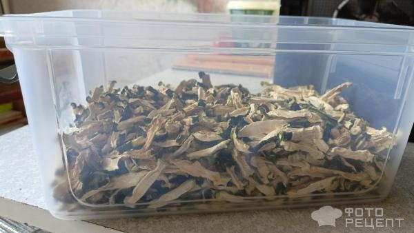 Рецепт: Сушеные кабачки Заготовка в Дигидраторе - Кабачки, как приправа, чипсы, на хранение Рецепт: Сушеные кабачки Заготовка в Дигидраторе - Кабачки, как приправа, чипсы, на хранение