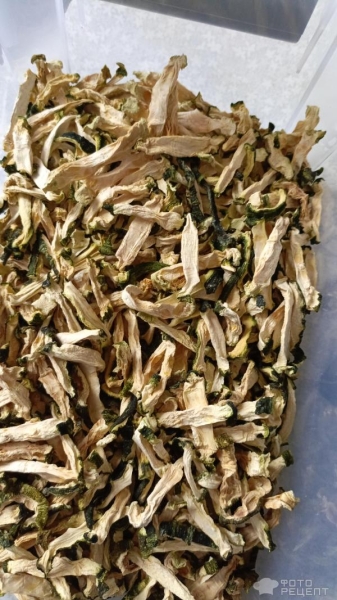 Рецепт: Сушеные кабачки Заготовка в Дигидраторе - Кабачки, как приправа, чипсы, на хранение Рецепт: Сушеные кабачки Заготовка в Дигидраторе - Кабачки, как приправа, чипсы, на хранение