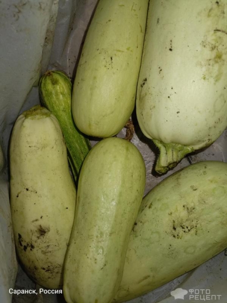 Рецепт: Сушеные кабачки Заготовка в Дигидраторе - Кабачки, как приправа, чипсы, на хранение Рецепт: Сушеные кабачки Заготовка в Дигидраторе - Кабачки, как приправа, чипсы, на хранение