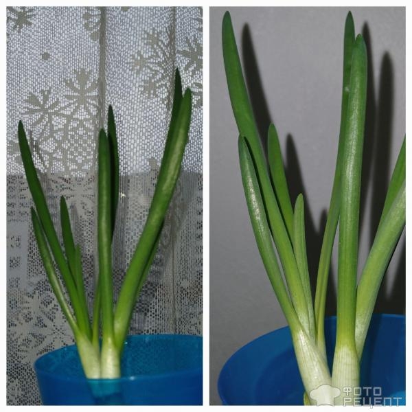 Рецепт: Тушеный картофель с овощами - С тыквой и фасолью. Постное меню.