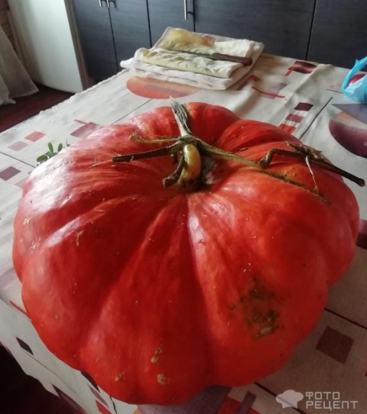 Рецепт: Тыква, запеченная со специями - легкая и приятная закуска Рецепт: Тыква, запеченная со специями - легкая и приятная закуска