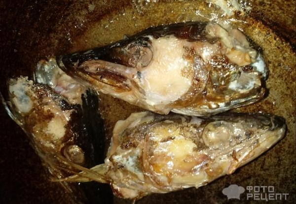 Рецепт: Уха из щучьих голов - По-простому Рецепт: Уха из щучьих голов - По-простому