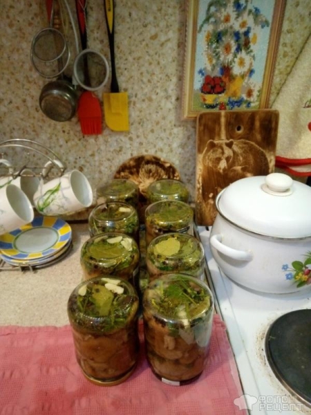 Рецепт: Волнушки соленые - По-домашнему