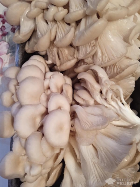 Рецепт: Закуска-салат "Грибная" - Вешенки с красным болгарским перцем