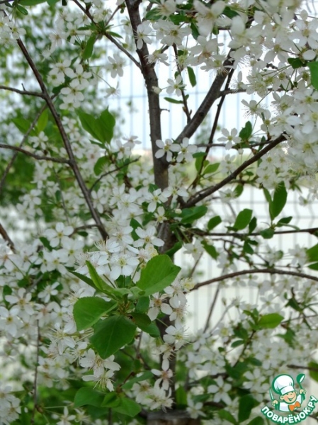 Рулетики-гриль из лаваша с индейкой