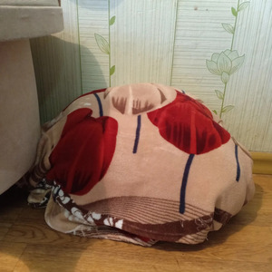 Самые сладкие помидоры