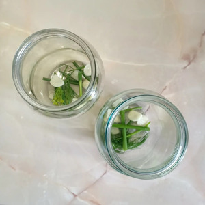 Самые сладкие помидоры