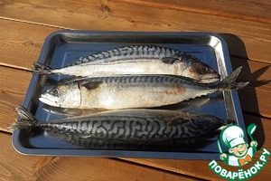 Шашлык из скумбрии с апельсином Шашлык из скумбрии с апельсином