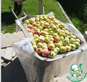 Сидр “Сиеста” Сидр “Сиеста”