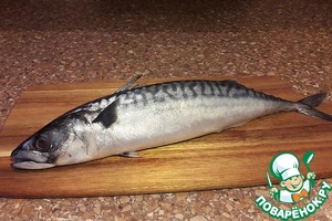 Скумбрия в маринаде на луковой подушке Скумбрия в маринаде на луковой подушке