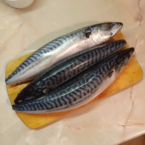 Скумбрия, запеченная с овощами