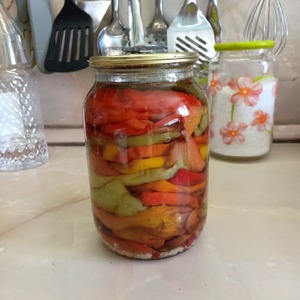 Сладкий перец, жареный на зиму Сладкий перец, жареный на зиму