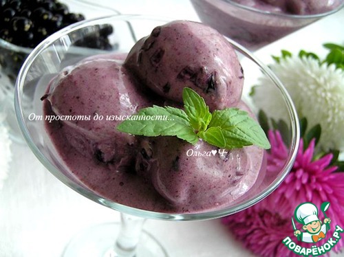 Сорбе из паслена Сорбе из паслена