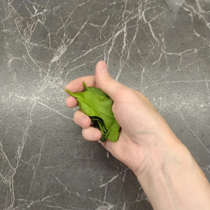 Том ям с креветками и кальмарами Том ям с креветками и кальмарами