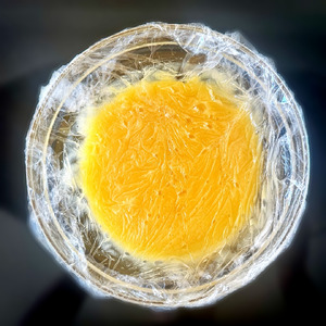 Торт "Полет" Торт "Полет"