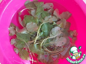 Травяной салат с огурцом и мини-котлетками Травяной салат с огурцом и мини-котлетками